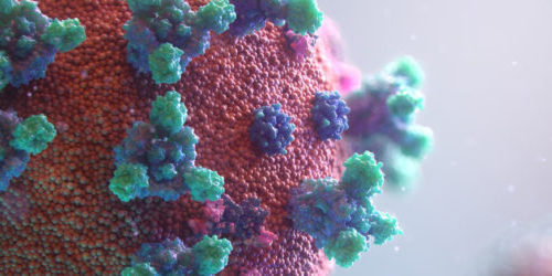 Virus-portada-1200×250